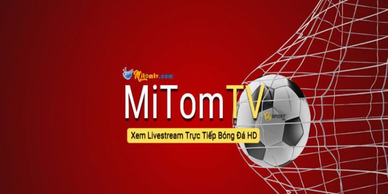 Mitom Live cập nhật đầy đủ lịch thi đấu bóng đá mỗi ngày