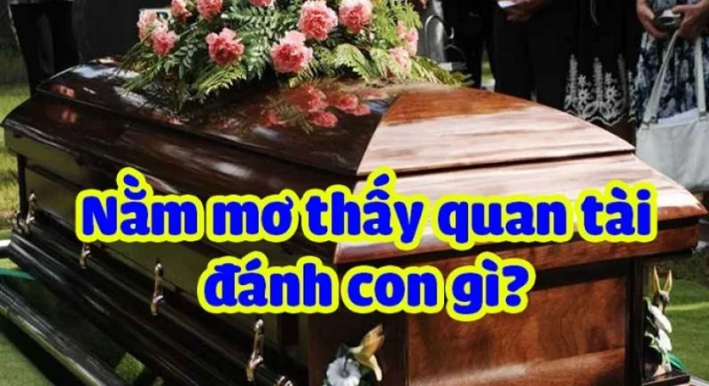 nam mo thay quan tai